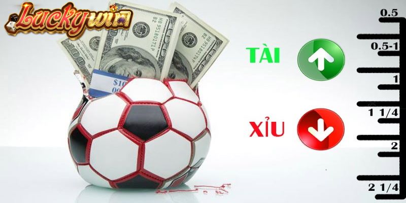 Kèo Tài Xỉu Là Gì? Cách Chơi Hay Thắng Lớn Tài Luckywin Kèo tài xỉu 0.5/1