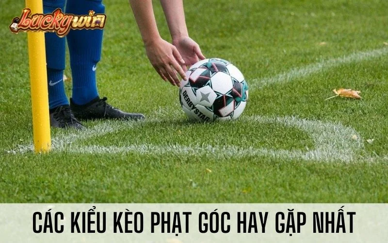 Kèo Phạt Góc Là Gì? Hướng Dẫn Cách Tính Tiền Cược Góc Chuẩn Các kiểu kèo phạt góc hay gặp nhất