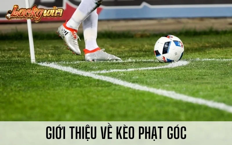 Kèo Phạt Góc Là Gì? Hướng Dẫn Cách Tính Tiền Cược Góc Chuẩn Giới thiệu về kèo phạt góc