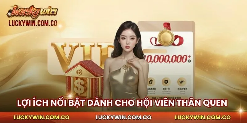 Lợi ích nổi bật dành cho hội viên thân quen